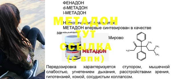 индика Бронницы