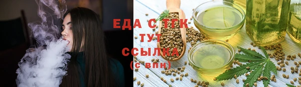 индика Бронницы