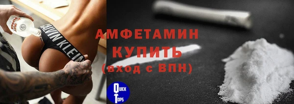 индика Бронницы
