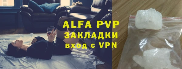 индика Бронницы