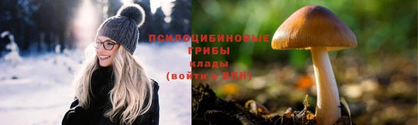 а пвп мука Бородино