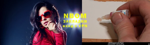 индика Бронницы