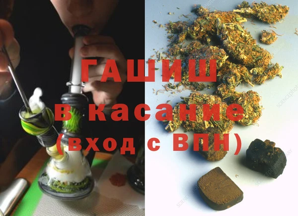 индика Бронницы