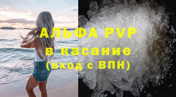 индика Бронницы