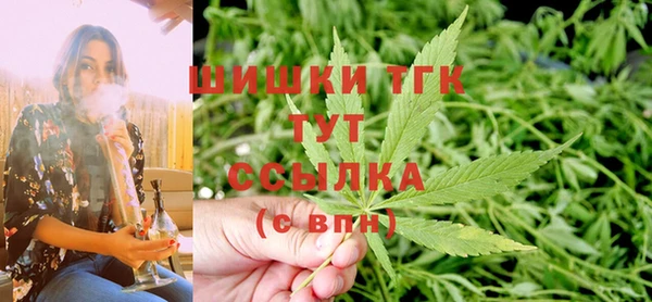 индика Бронницы