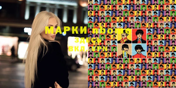 индика Бронницы