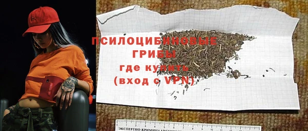 индика Бронницы