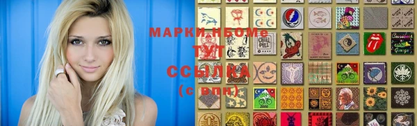 индика Бронницы